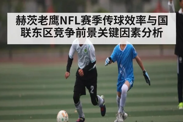 赫茨老鹰NFL赛季传球效率与国联东区竞争前景关键因素分析